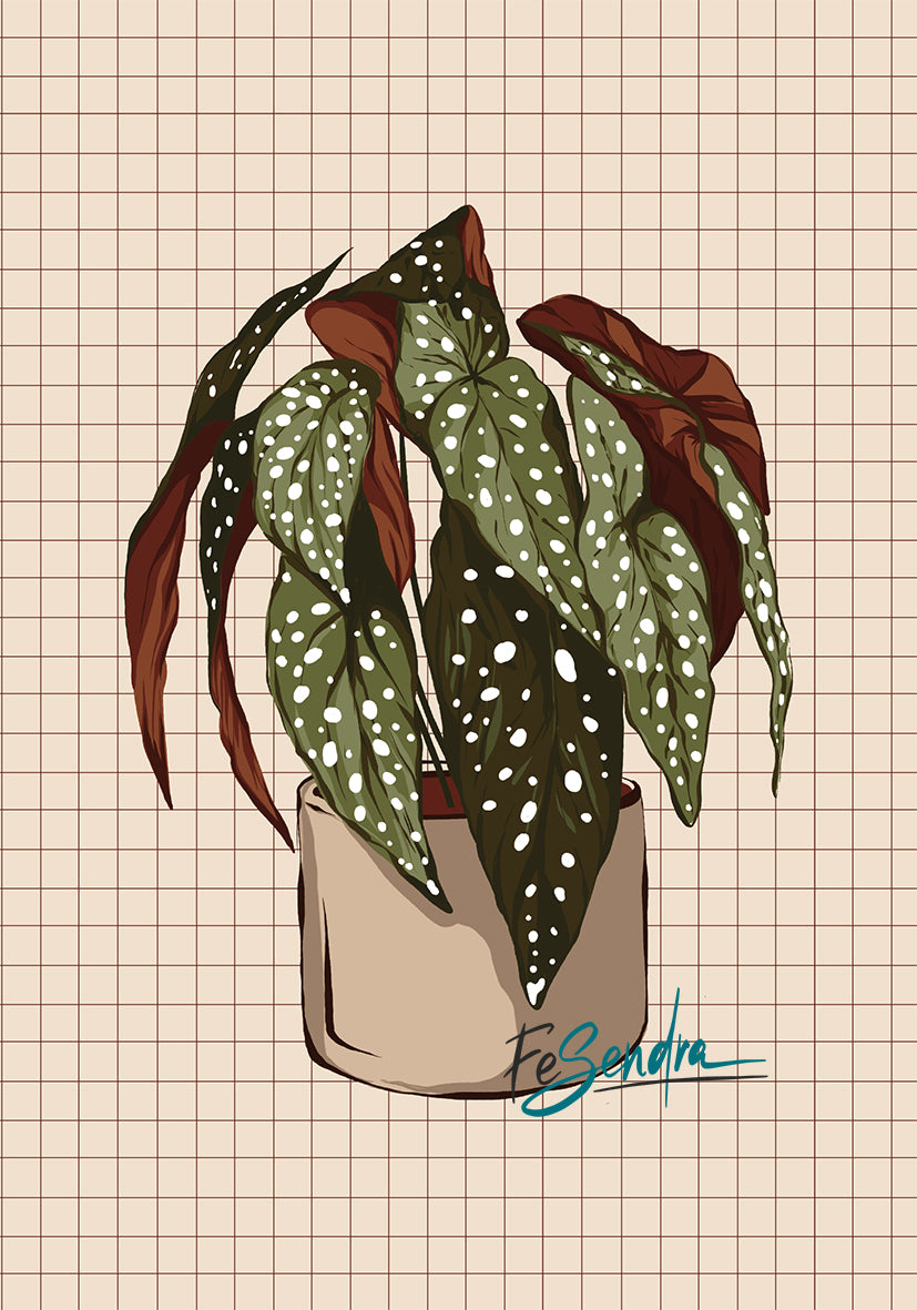 Printed Poster | Plant by FeSendra