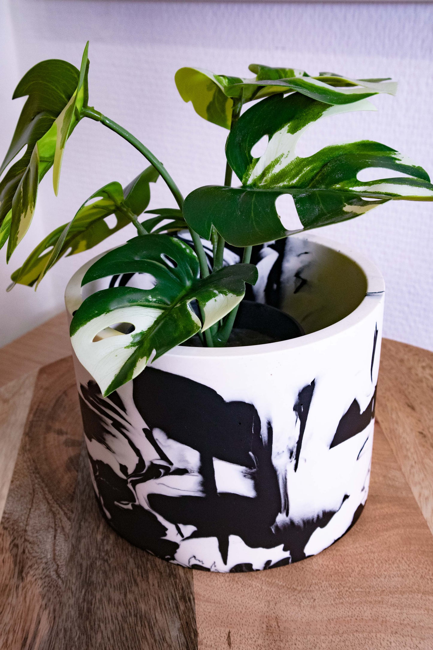 Pot Plant grd - Jesmonite - Black and white