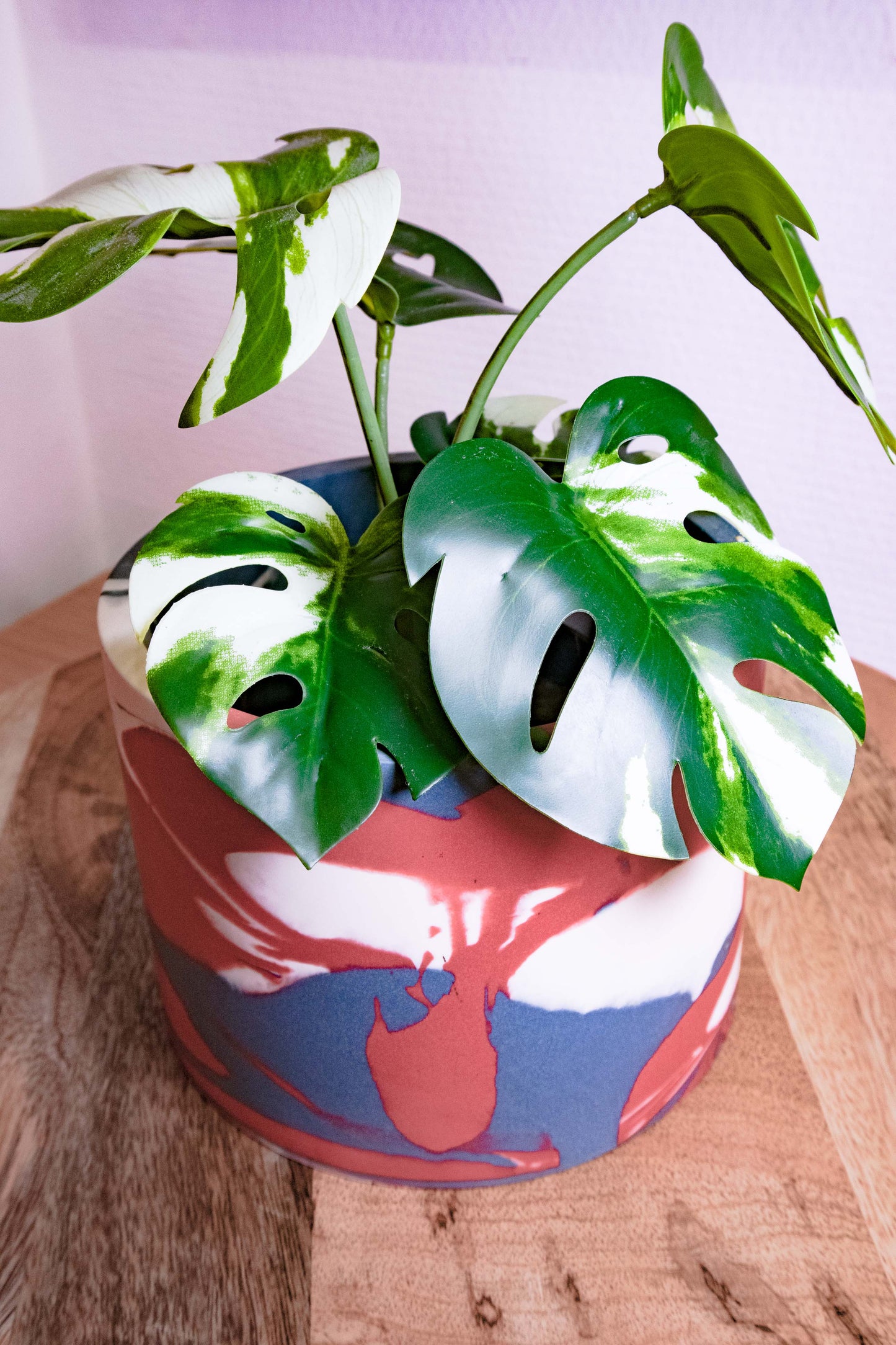 Pot Plant grd - Jesmonite - Blue, red oxyde and white