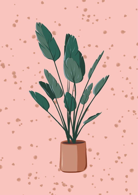 Printed Poster  | Plant by FeSendra